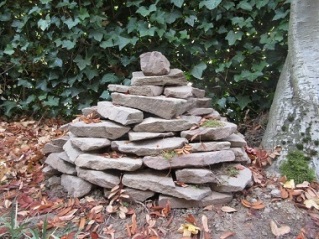 gallery/naturmodule02